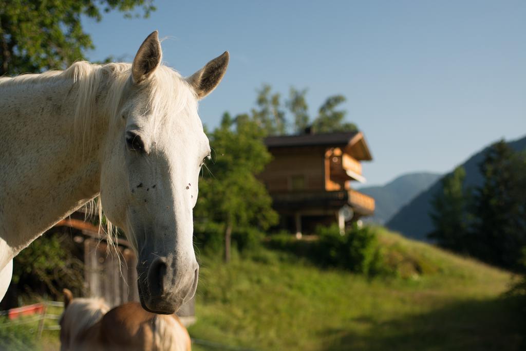 Hotel Ferienhaus Oetztal Sautens Zewnętrze zdjęcie