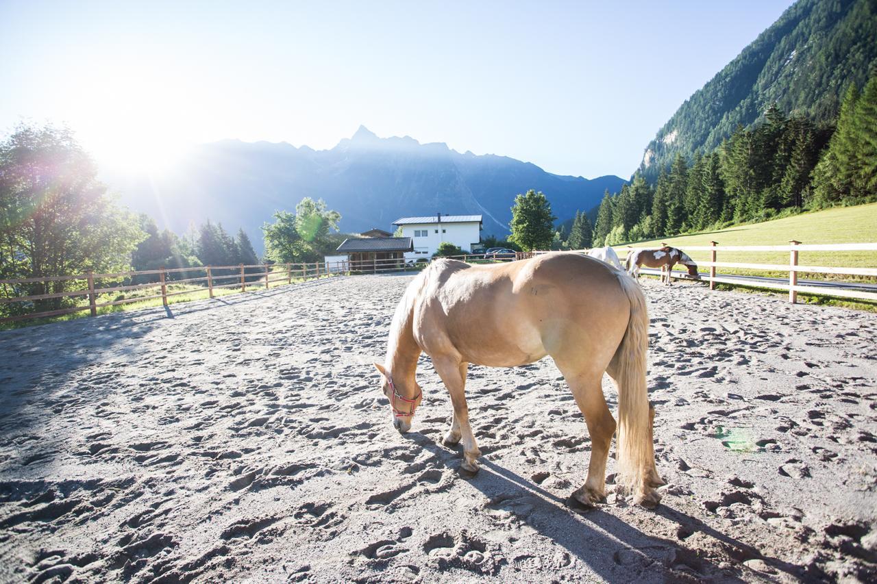 Hotel Ferienhaus Oetztal Sautens Zewnętrze zdjęcie