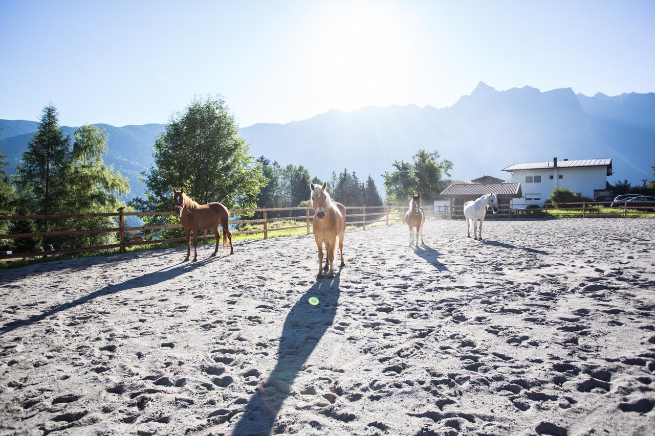 Hotel Ferienhaus Oetztal Sautens Zewnętrze zdjęcie